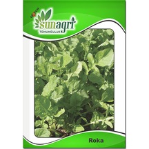 Bykurt Sunagri Roka Tohumu 10 Gr - Aromalı Koyu Yeşil Yapraklı Taze Tüketim İçin İdeal Roka