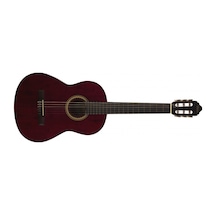 Valencia Vc204Twr Klasik Gitar Kılıf Pena