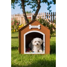Ahşap Özel İsim Baskılı Dekoratif Köpek Evi-kulübesi, Küçük Irk Köpekler İçin Kulübe, Köpek Kulübesi Kahverengi