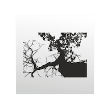 Folyo Sticker Ağaç Adkpquy111 160cm Uzunluk Siyah