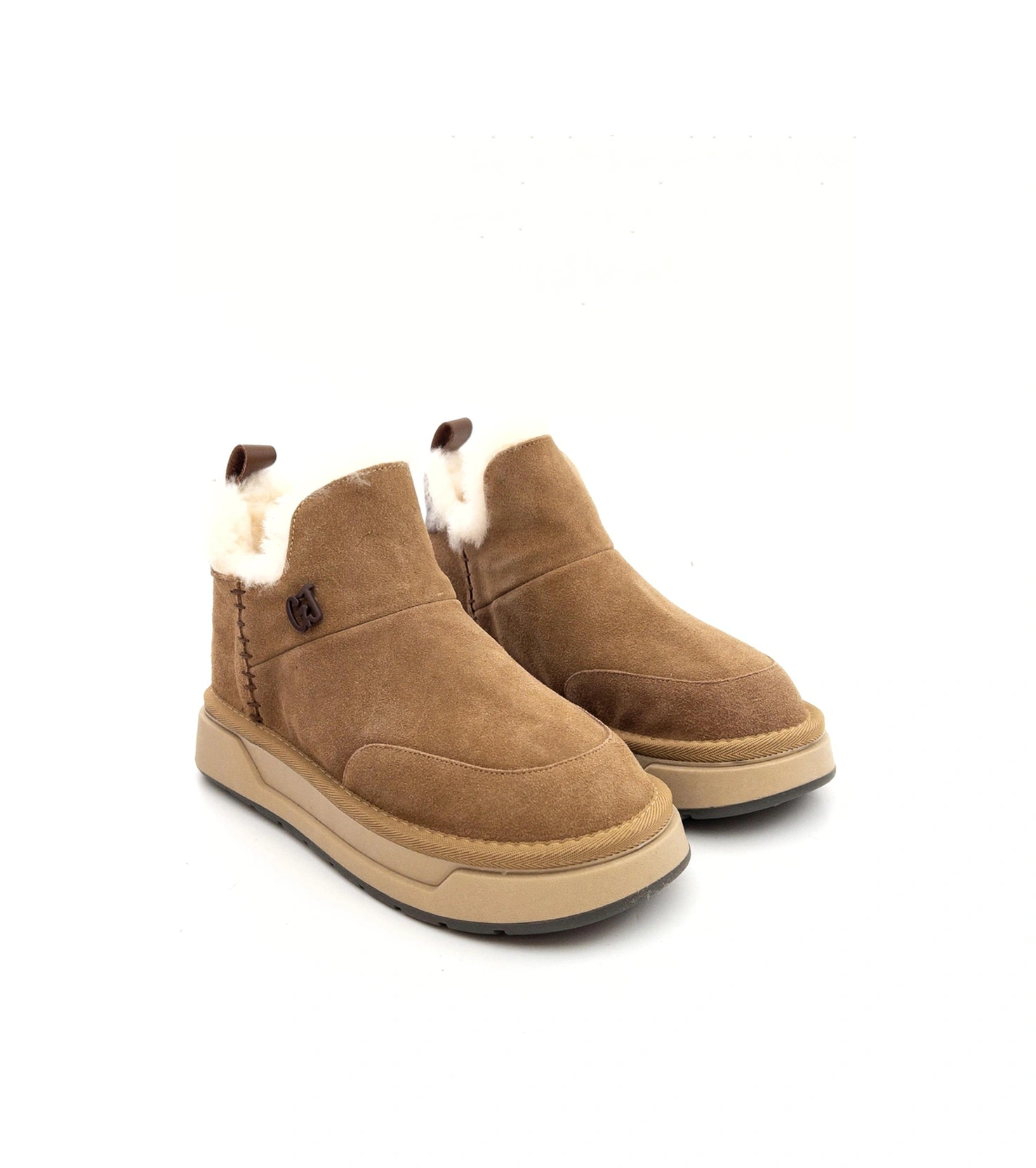 Camel