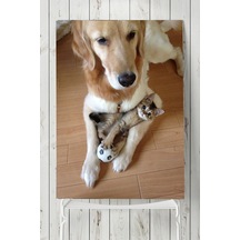 Kedi Köpek Hayvan Posteri