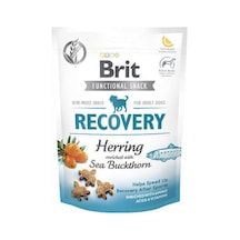 Brit Functioal Snack Recovery Ringa Balıklı Köpek Ödül Maması 150 G