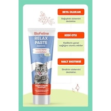 Biofeline Rahatlatıcı Macun 100g Ve Kediler İçin Günlük Strese Karşı Rahatlık Sağlayan Sakinleştirici Macun 3 Paketi