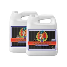 Advanced Nutrients Connoisseur Bloom A-b Ph Perfect 10 Litre