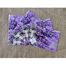 Lavanta Tohumu 4 Paket 400 Adet Lavandula Lavanta Çiçeği Tohumu