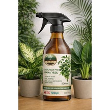 500 ML
