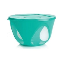 Tupperware Tutku Kap 43 L Saklama Servis Kabı Esc Çok Renkli
