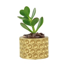 Mini Çiçek Saksı Küçük Sukulent Kaktüs Saksısı Puantiyeli Model - Altın