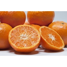 Tüplü Aşılı Primasol Mandalina Fidanı Yaş 1-2 Boy 90-110Cm Bol V