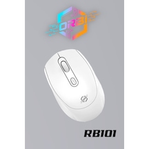 RB101