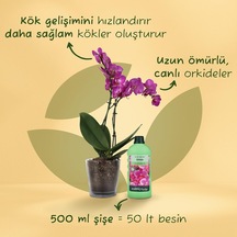 500 ML