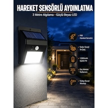 Çok Renkli
