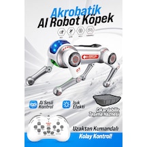 Blıc Brb1 Aı Akıllı Robot Köpek 2.4ghz Uzaktan Kumandalı Sesli Komutlu Rgb Işıklı Akrobatik Programl