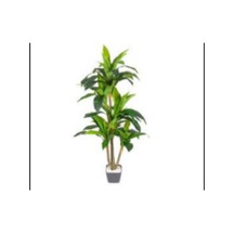 Yapay Fortune Gerçek Dokulu 98 Cm Çok Renkli