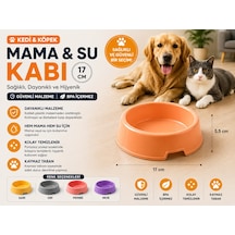 Kedi Köpek Mama Ve Su Kabı 17 Cm Kaymaz Tabanlı Bpa İçermez - Turuncu