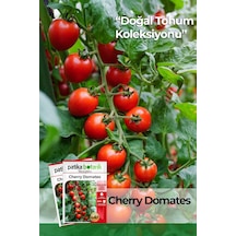 80 Adet Yerli Ata Cherry Domates Tohumu 0.15 KG