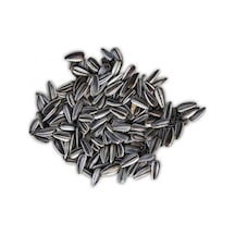 Siyah Çizgili Çekirdek 1 KG