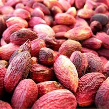 Fıstıkçı Pazarı Ağaç Altı Kurutulmuş Kırmızı Kabuklu Antep Fıstığı 900 G