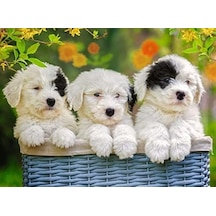 200 Parça Yapboz Puppies