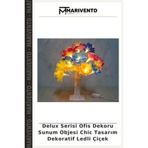 Çok Renkli