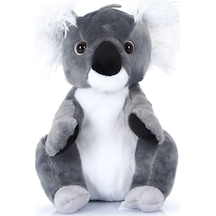 Koala 25 Cm Doğum Günü Hediyesi