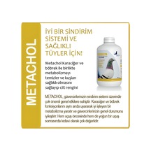 PIGEON Health Performance, METACHOL 1000 ml. (Güvercin Genel Bakı