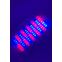 10 Adet 12v Kırmızı - Mavi Işık Animasyonlu Çakar Led, Kaliteli Red - Blue Modüler Led 10 Adet