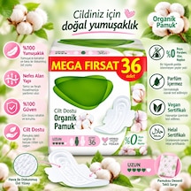 Pure & Soft Mega Uzun Hijyenik Ped 36'lı