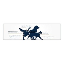 Obivan Premium Yetişkin Kedi Maması Somonlu 10 Kg - Hipoalerjenik, Tüy Dökülmesini Azaltan, Kolay Sindirilen, Bağışıklık Güçlendirici, Yüksek Proteinli Mama 103 Ivory