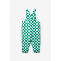 Mint Yeşili