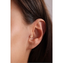 14 Ayar Altın Kedi Köpek Pati Tragus Küpe