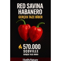 Red Savina Habanero Pepper 350.000 570.000 Scoville - Gerçek Taze Acı Biber