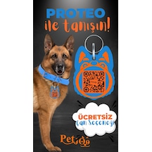Petjoo 24.Proteo Turuncu-Mavi Qr'lı Köpek Künyesi