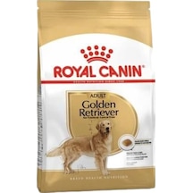 Golden Retriever Yetişkin Köpek Maması 12 Kg