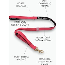 Çok Renkli