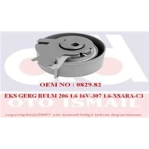 INA 531047810 TRİGER EKSANTRİK GERGİ RULMANI 206 307 1.6 16V TU5J