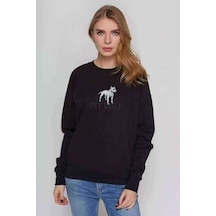 Pitbull Metal Rock Müzik Music Baskılı Siyah Kadın Sweashirt
