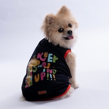 Lacivert Keep Show-ıng Up Tişört Kedi Köpek Tişörtü-kedi Köpek Kıyafeti
