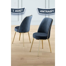 Antrasit - Gold