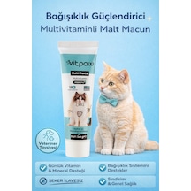 Vitpaw Multi Paste 100 G