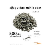 Ağaç Vidası Nikel 500 Adet Renk Hobi Vidası Menteşe Vidası Mini T