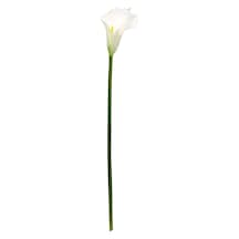 Yapay Gala Dalı Mini Beyaz 45 Cm Beyaz