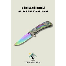 Çok Renkli