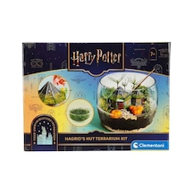 Harry Potter Hagrid İn Kulübesi Teraryum Seti