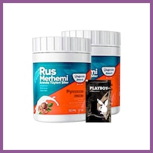 Bezos Playboy Turquoise 2li Adet Ceviz & Ceviz Sütü Rus Merhemi 50 Ml Tüylere Krem + Yanında Jel Rengaren