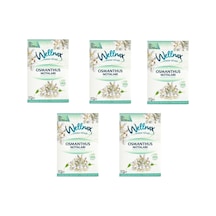 Wellnax Askılı Dolap Ve Çekmece Kokusu Osmanthus Notaları 5 Adet