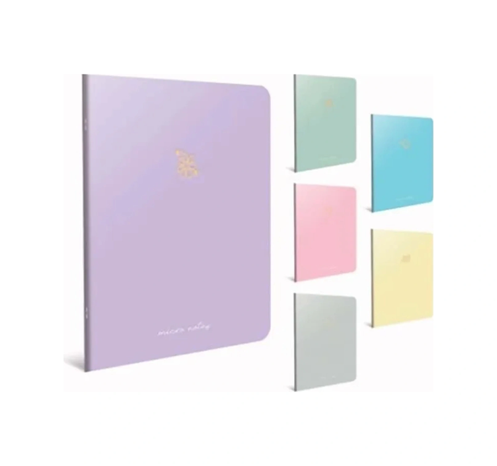 Micro Notes Tel Dikiş Karton Kapak 13x21 60 Yaprak Çizgili Defter Karışık