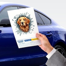 Zvnm Fulcar Golden Araç Stickerı Zcv12