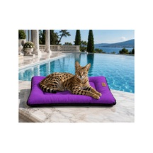 Kedi Ve Köpek Yer Minderi Outdoor Su Geçirmez Üst Kalite Tüy Ve Leke Tutmaz Boncuk Elyaf Kaydırmaz Taban Kedi Ve Köpek Yatağı Mor - 885355711